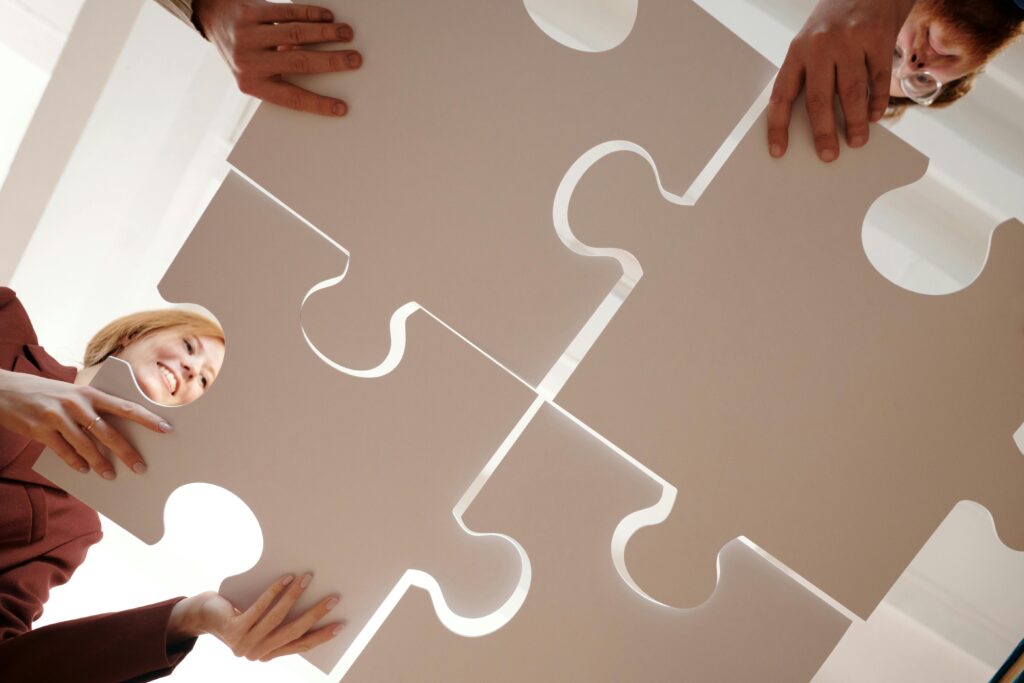 executive mba studijni plan